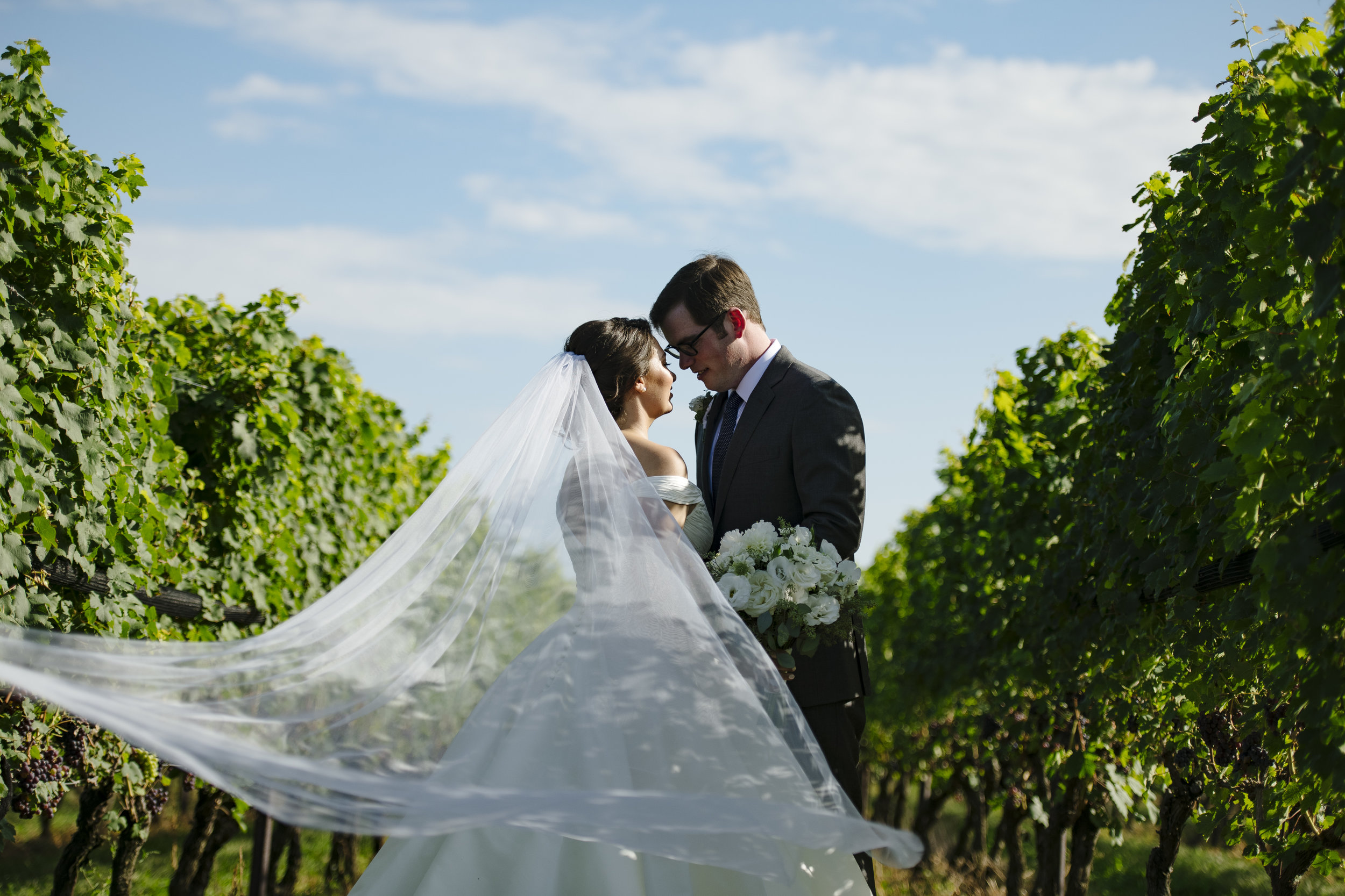 Bride and groom first look in the vineyard at Jonathan Edwards Winery in Connecticut. Beautiful floating veil photo. - Pearl Weddings &amp; Events