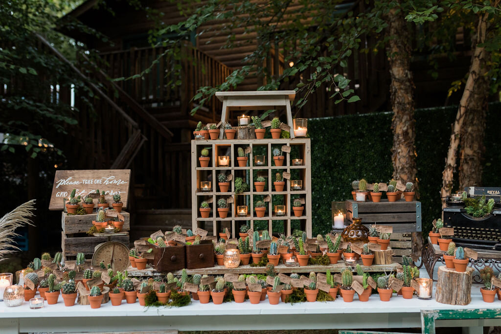 Succulent favors at Chatfield Hollow Inn - Pearl Weddings &amp; Events