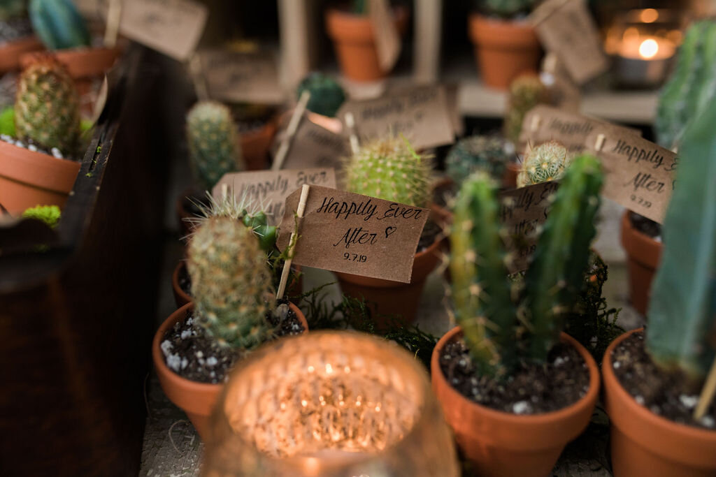 Succulent wedding favors with thank you flags - Pearl Weddings &amp; Events