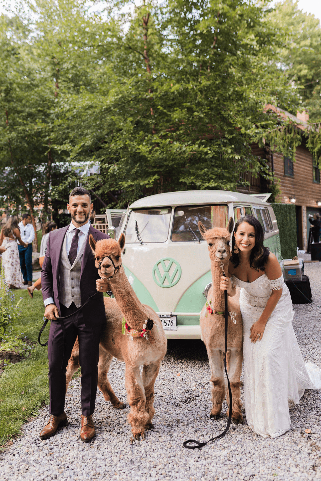 A couple poses with two alpacas in front of vintage van